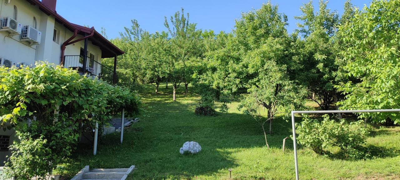 Villa Greenfield サラエヴォ エクステリア 写真